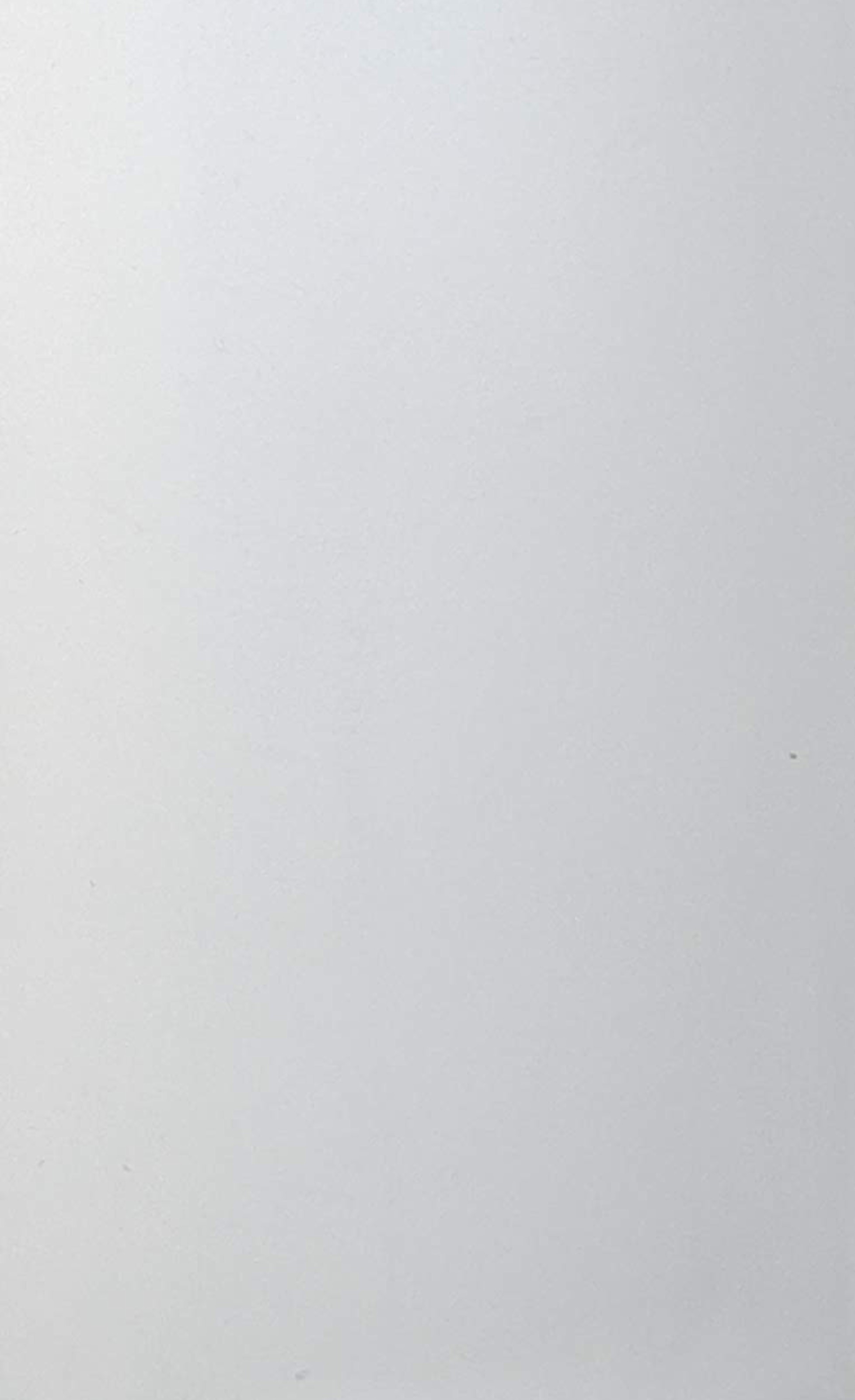 Liso White